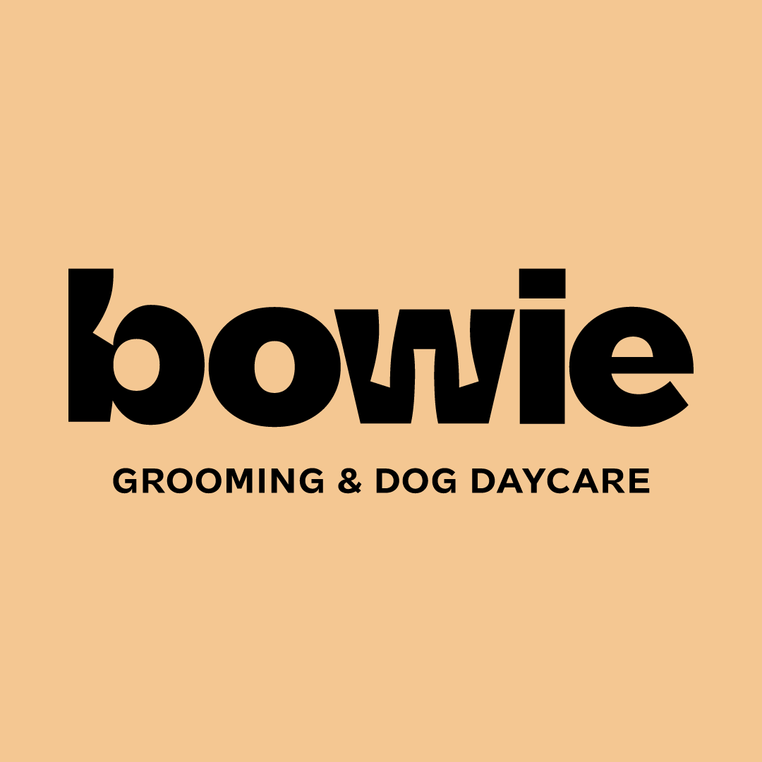 Bowie comb dog grooming hotsell